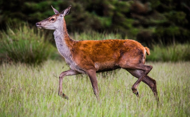 万能钥匙广告投放价格按照cpc多少钱？万能钥匙电话是多少？