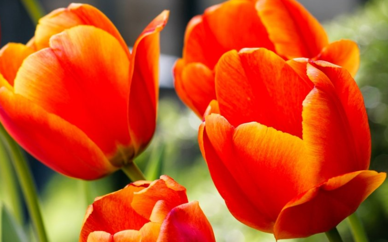 万能钥匙广告投放价格按照cpc多少钱？万能钥匙电话是多少？