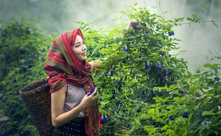 网易新闻上的广告怎么做？网易现在跑咖啡返点是多少？