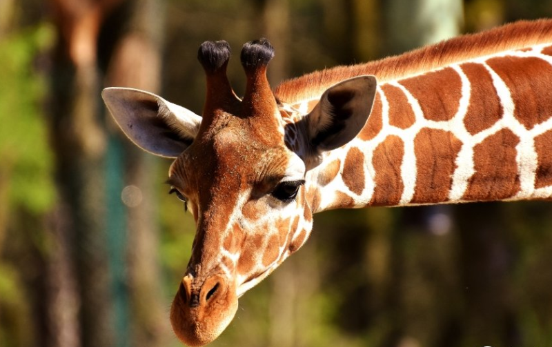 万能钥匙信息流多少钱代运营?万能钥匙跑二类电商效果好吗? 万能钥匙信息流多少钱代运营?万能钥匙跑二类电商效果好吗?