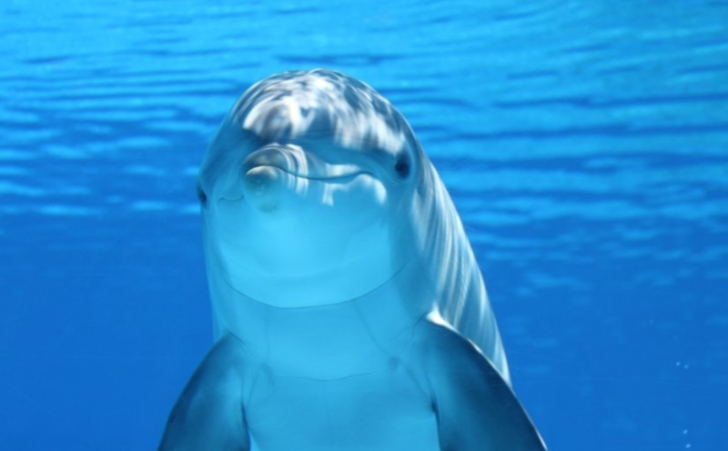 万能钥匙新闻板块广告投放成本是多少?万能钥匙广告怎么投放？