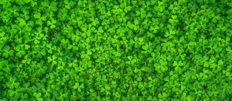 万能钥匙代理商是哪家？万能钥匙现在跑无机酸返点多少？