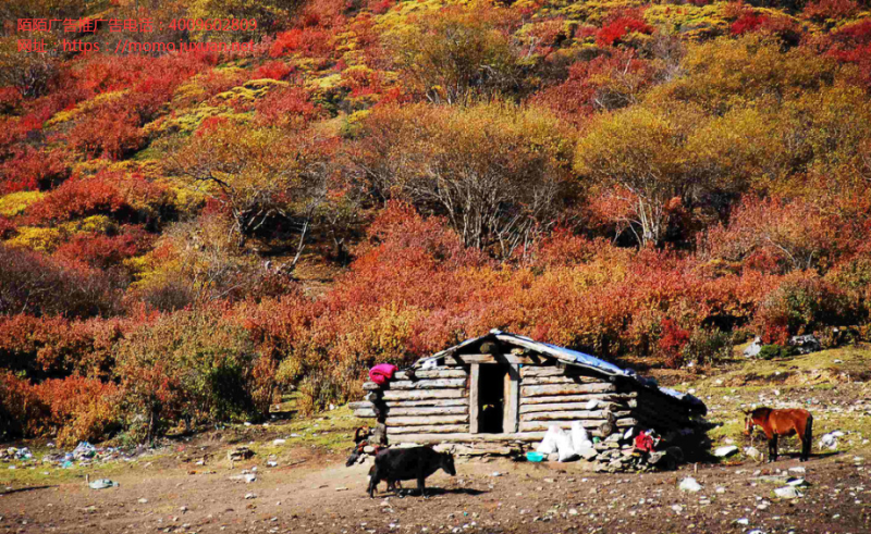 陌陌推广开户、快手、头条、微博,这些互联网产品有啥共同逻辑? 陌陌推广开户、快手、头条、微博,这些互联网产品有啥共同逻辑?