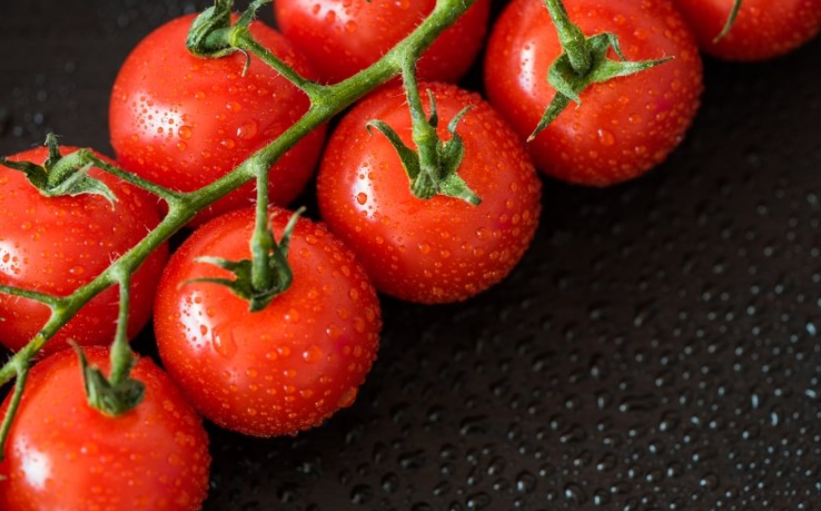 网易现在跑家电成本需要多少钱呢？网易现在跑装修成本需要多少钱呢？