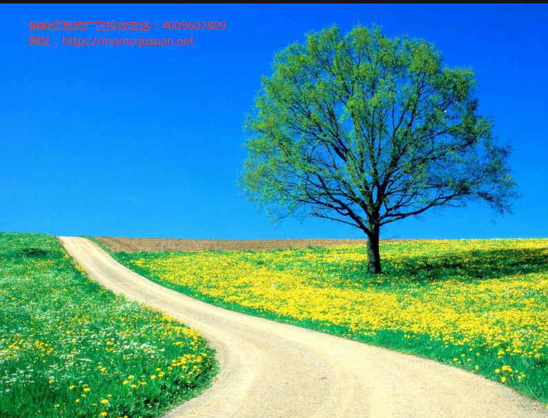 筑底期”的陌陌息流广告代理商电话在形成矩阵