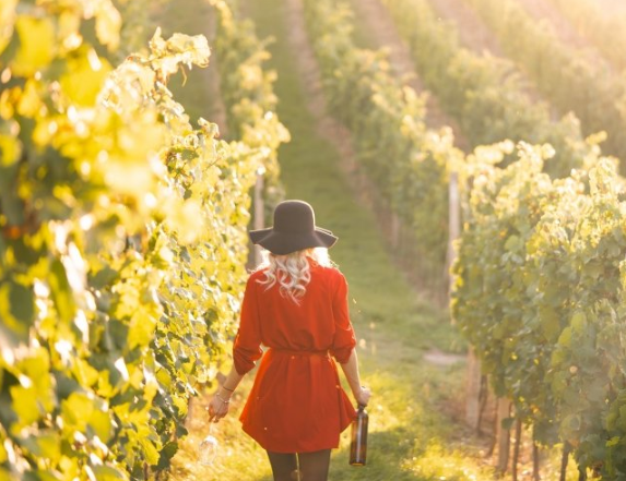 神马现在跑钢丝成本需要多少钱呢?神马广告投放有哪些政策? 神马现在跑钢丝成本需要多少钱呢?神马广告投放有哪些政策?