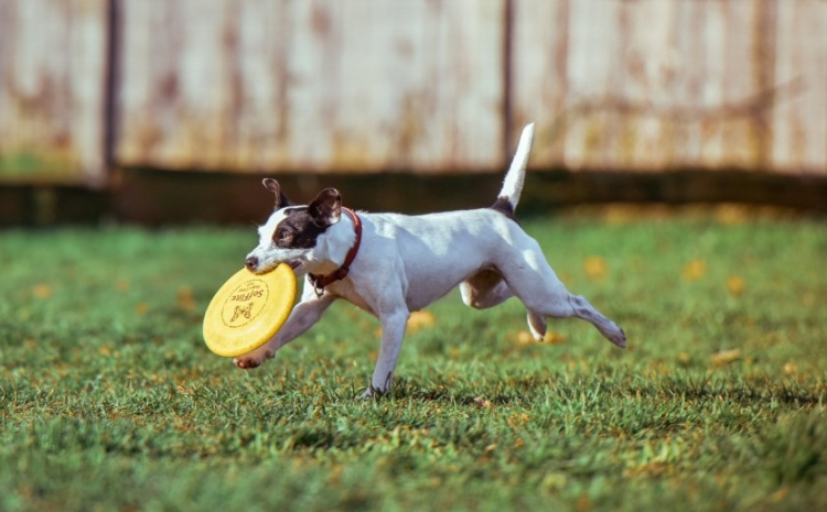 陌陌现在跑白酒返点多少?陌陌广告怎么收费? 陌陌现在跑白酒返点多少?陌陌广告怎么收费?
