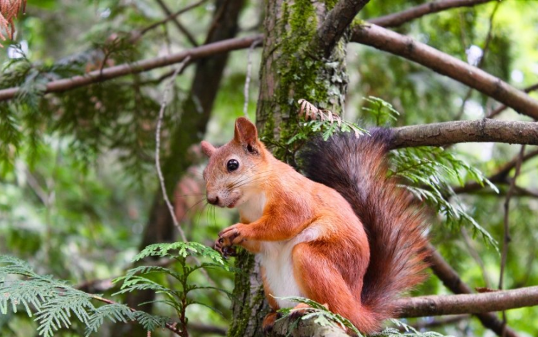 陌陌现在跑酒店管理返点多少?陌陌现在跑酒店管理返点多少? 陌陌现在跑酒店管理返点多少?陌陌现在跑酒店管理返点多少?