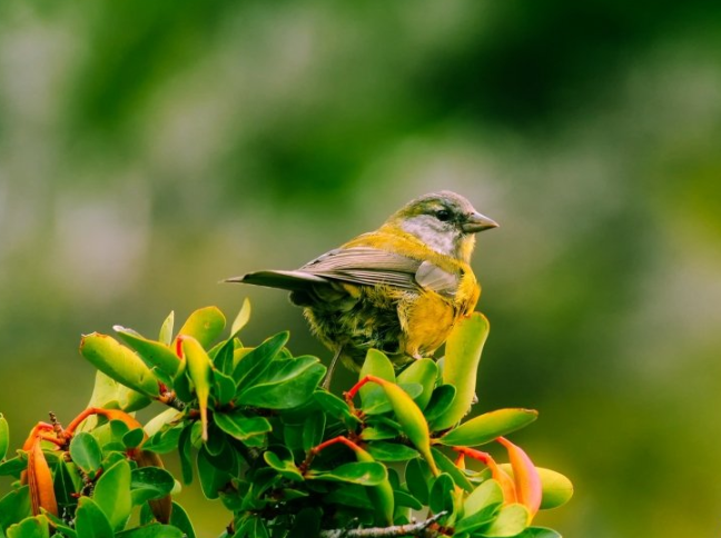 陌陌现在跑酒店管理返点多少?陌陌现在跑酒店管理返点多少? 陌陌现在跑酒店管理返点多少?陌陌现在跑酒店管理返点多少?