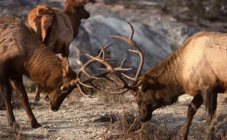 陌陌上跑会展有户吗?陌陌上跑会展有户吗? 陌陌上跑会展有户吗?陌陌上跑会展有户吗?