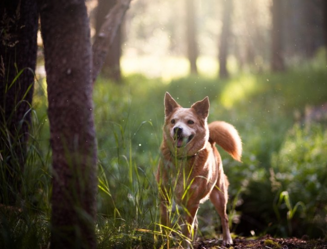 陌陌现在跑二类电商返点多少?陌陌跑企业管理返点多少? 陌陌现在跑二类电商返点多少?陌陌跑企业管理返点多少?
