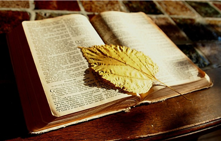 必应信息流多少钱代运营?Bing必应广告推广在哪展现? 必应信息流多少钱代运营?Bing必应广告推广在哪展现?