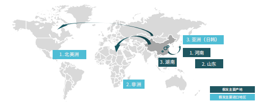 bing广告：2021年出海爆款单品预测