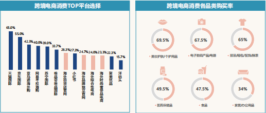 必应广告跨境消费研究报告说明《01》