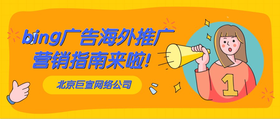 bing广告投放之动态搜索广告页面