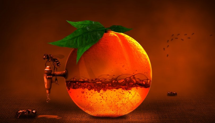 搜狐推广客服电话是多少?搜狐现在跑教育成本多少? 搜狐推广客服电话是多少?搜狐现在跑教育成本多少?