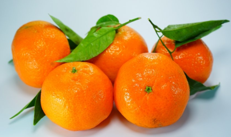 搜狐推广后台在哪里?你知道搜狐开户找哪家? 搜狐推广后台在哪里?你知道搜狐开户找哪家?