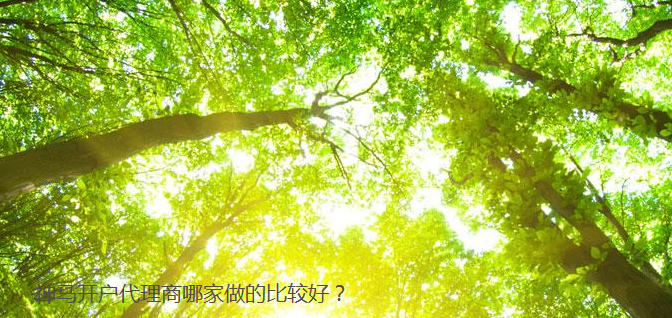 神马推广苦丁茶成本有多少？酒店用品现在跑神马推广成本有多少？