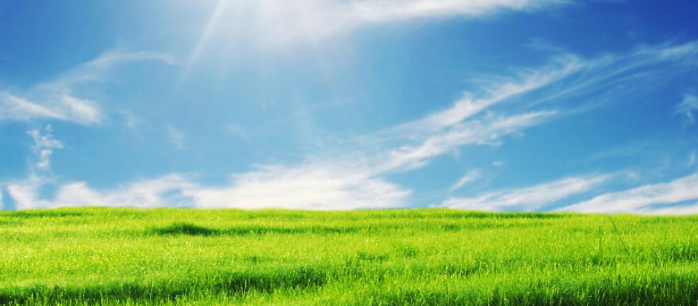 第一次投放网络广告，神马广告360广告这种真的有效果吗？