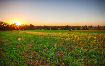 vivo信息流广告怎么投放？投放广告需要什么资质？