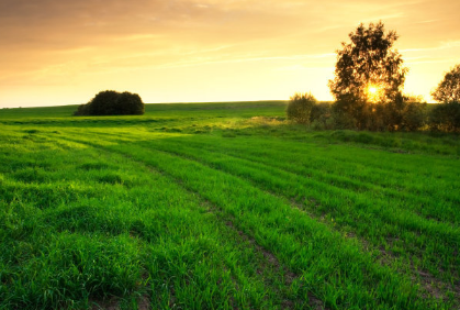 在vivo平台怎么做广告投放?投放广告有什么技巧吗? 在vivo平台怎么做广告投放?投放广告有什么技巧吗?