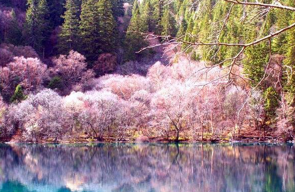 vivo游戏广告平台第六年迎来新变化。 vivo游戏广告平台第六年迎来新变化。