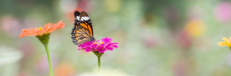 facebook跑文具广告开户价格是多少?有哪些投放技巧? facebook跑文具广告开户价格是多少?有哪些投放技巧?