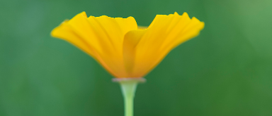 facebook跑文具广告开户价格是多少?有哪些投放技巧? facebook跑文具广告开户价格是多少?有哪些投放技巧?