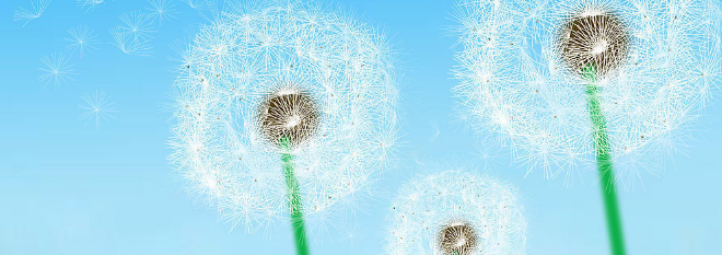 facebook信息流开户怎么收费?信息流开户有哪些政策? facebook信息流开户怎么收费?信息流开户有哪些政策?