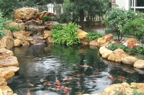 vivo跑食品行业广告效果好不好？需要什么资质？