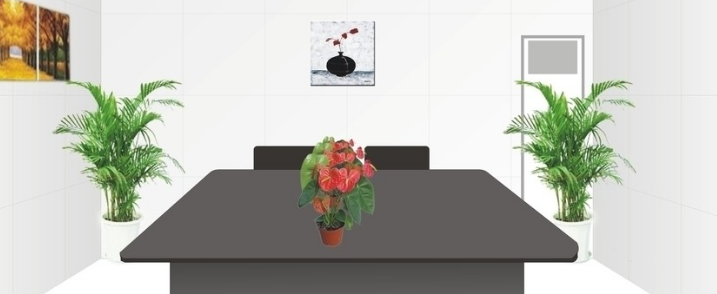 神马搜索:在搜索领域要实现突破重构一个新的搜索生态 神马搜索:在搜索领域要实现突破重构一个新的搜索生态