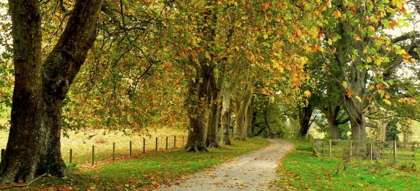 vivo推广案例有哪些,简单介绍一下 vivo推广案例有哪些,简单介绍一下