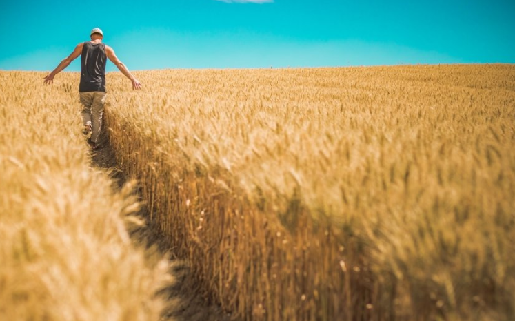 facebook代理商是哪家做得好?facebook开户需要多少钱呢? facebook代理商是哪家做得好?facebook开户需要多少钱呢?