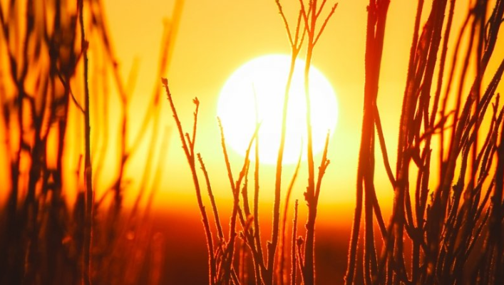 facebook广告怎么做?facebook现在跑广点通成本需要多少? facebook广告怎么做?facebook现在跑广点通成本需要多少?