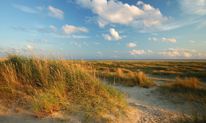 在oppo电商广告平台上发家致富的企业有哪些? 在oppo电商广告平台上发家致富的企业有哪些?