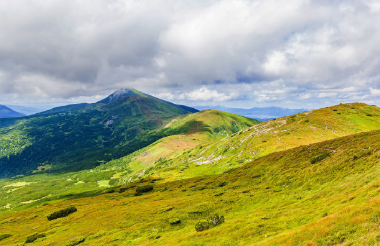 普通人和千万富翁就差做个oppo推广! 普通人和千万富翁就差做个oppo推广!