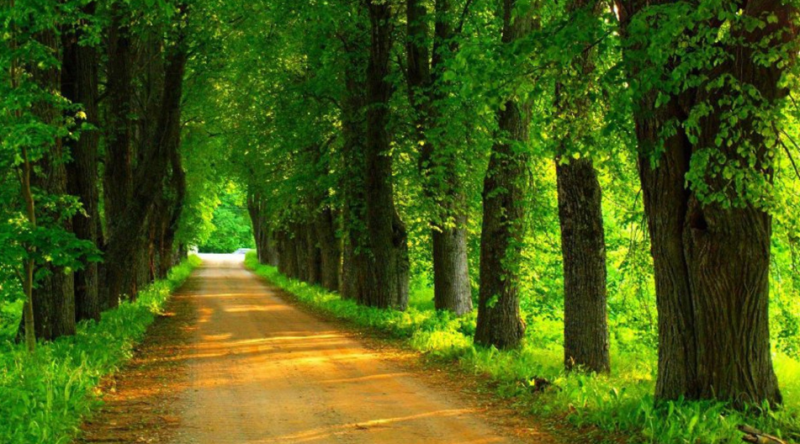 普通人和千万富翁就差做个oppo推广! 普通人和千万富翁就差做个oppo推广!