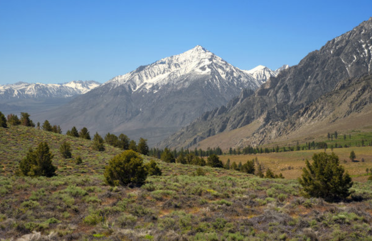普通人和千万富翁就差做个oppo推广! 普通人和千万富翁就差做个oppo推广!