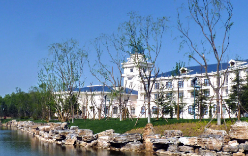 在北京OPPO信息流怎么推广？跑软件行业怎么样？