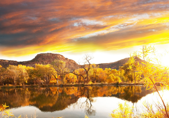 跑体育游戏在oppo推广找哪家公司好? 跑体育游戏在oppo推广找哪家公司好?