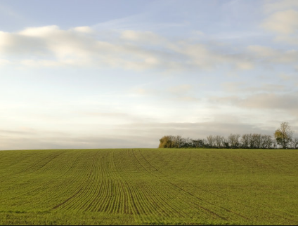 在广东​跑教育培训在oppo怎么推广开户？