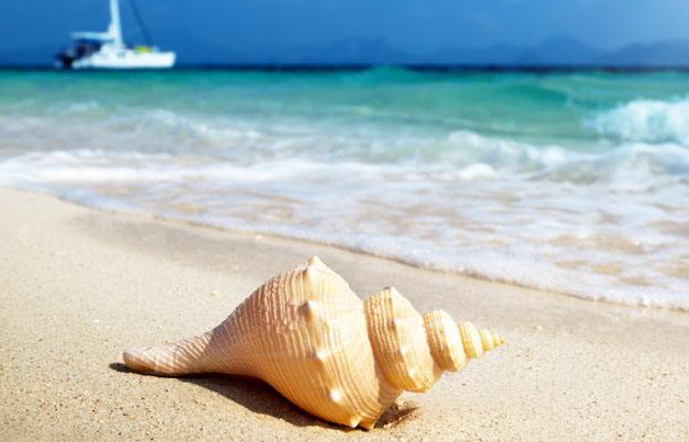 小说怎么在oppo商店做推广开户? 小说怎么在oppo商店做推广开户?