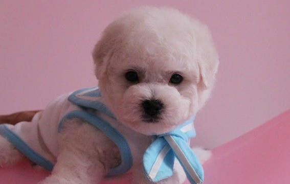 教育行业可以在oppo上投放广告吗? 教育行业可以在oppo上投放广告吗?