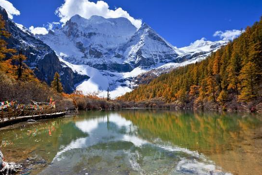 在oppo跑日用杂品广告找哪家广告公司? 在oppo跑日用杂品广告找哪家广告公司?