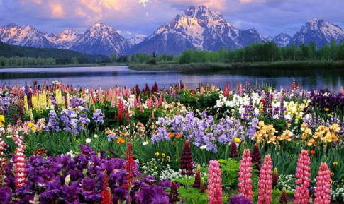 小说在oppo商店投放广告需要什么资质？