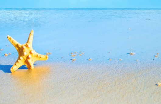 oppo信息流投放家具广告效果好吗? oppo信息流投放家具广告效果好吗?