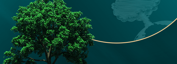 华为推广全平台投放怎么做？华为推广政策有哪些？