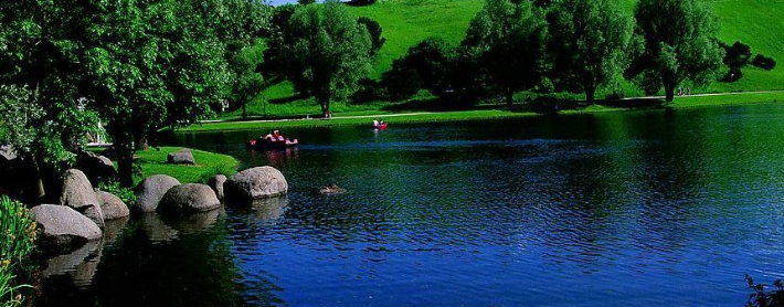 华为推广可以跑那些产品？