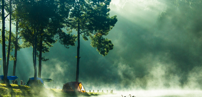 华为信息流广告政策是怎样的,有什么优惠活动? 华为信息流广告政策是怎样的,有什么优惠活动?