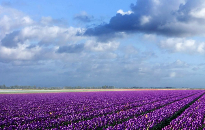 华为商店怎么投放广告?信息流的广告流程 华为商店怎么投放广告?信息流的广告流程
